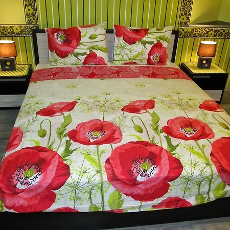 Apartamento Vasil Levski